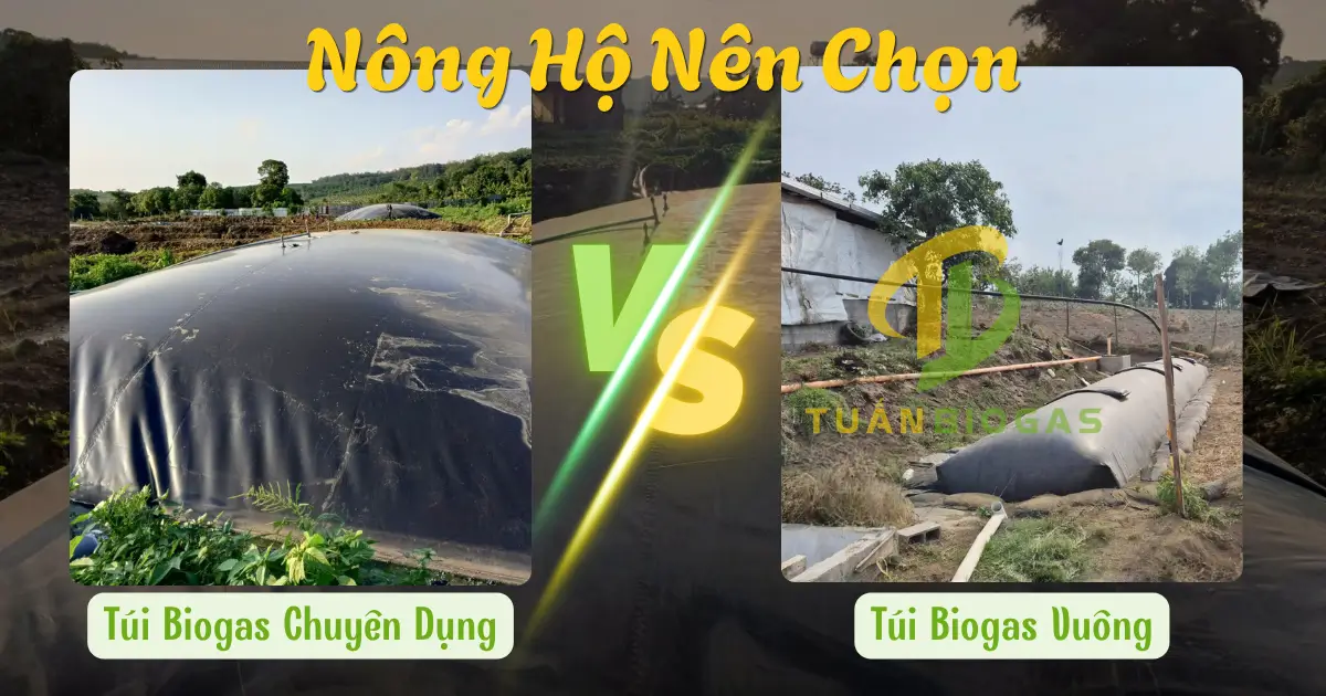 Nông Hộ Nên Chọn Túi Biogas Vuông Hay Túi Biogas Chuyên Dụng